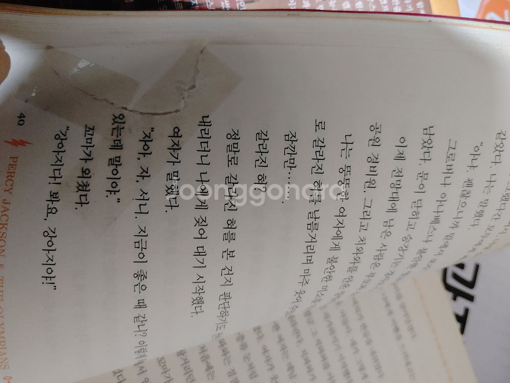 퍼시잭슨과 올림포스의 신 전 10권--2