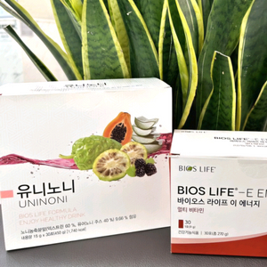 유니시티 유니노니