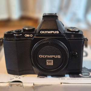 미러리스 카메라