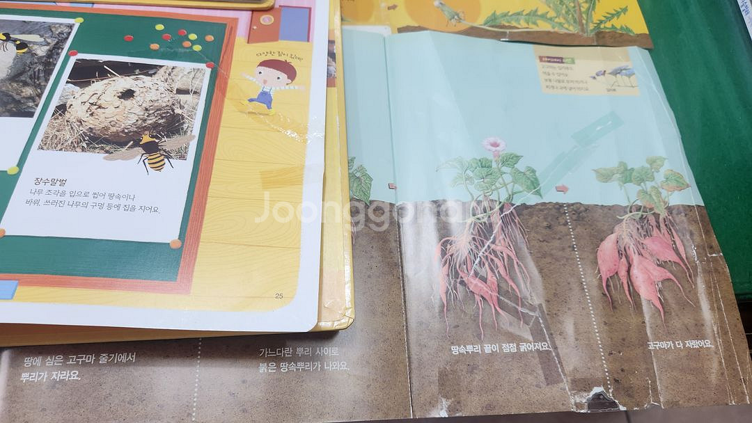 프뢰벨-생생 다큐 자연관찰(최신판-토탈시스템버전-씽킹펜버전/특A급)--1