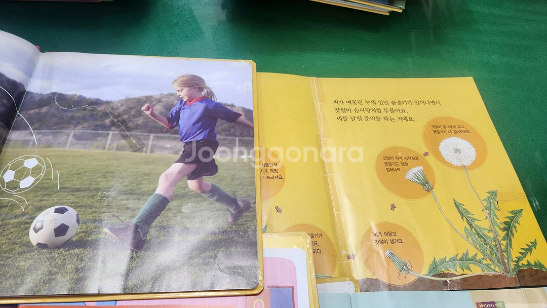 프뢰벨-생생 다큐 자연관찰(최신판-토탈시스템버전-씽킹펜버전/특A급)--2