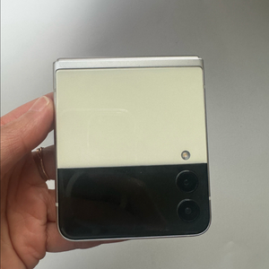 갤럭시 Z플립3 256GB