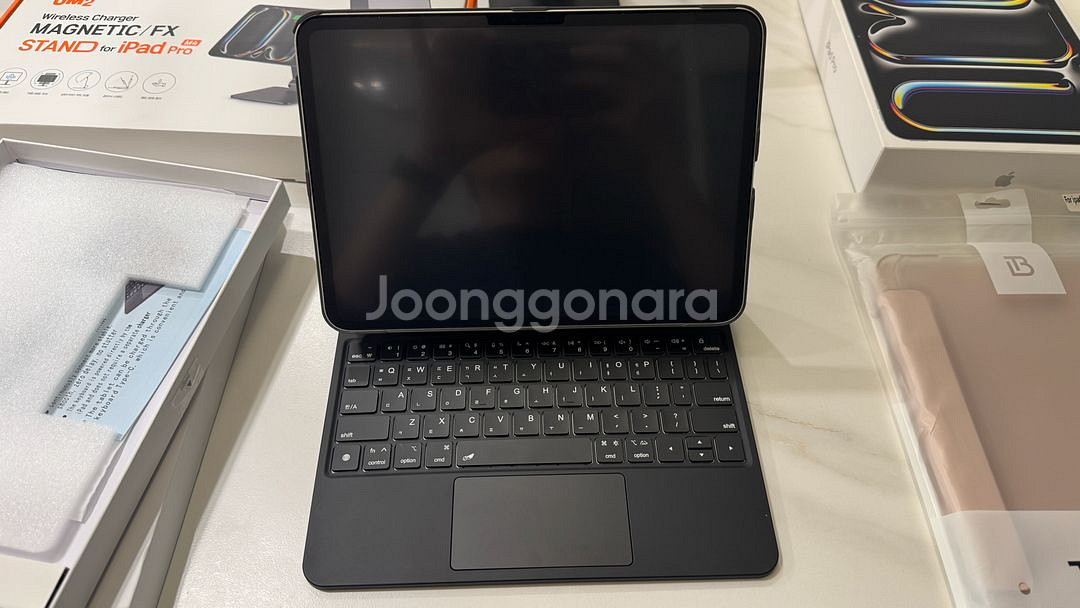 m4 아이패드 프로 256 wifi 실버 + 구조독 1933 + 포고핀 m4 아피패드 전용 스탠드 등--5