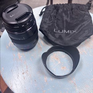 파나소닉 루믹스 12-35