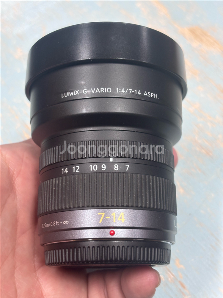 파나소닉 루믹스 7-14--1