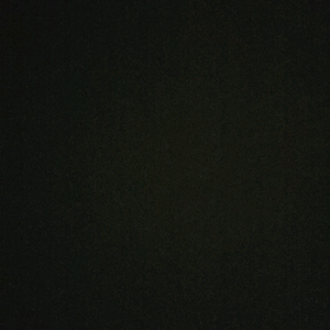 그어가 라쿤 이미지