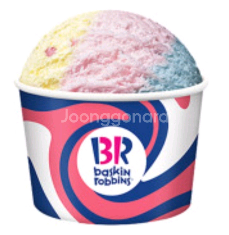 배스킨라빈스 파인트 아이스크림 베스킨라빈스 파인트 배라--0