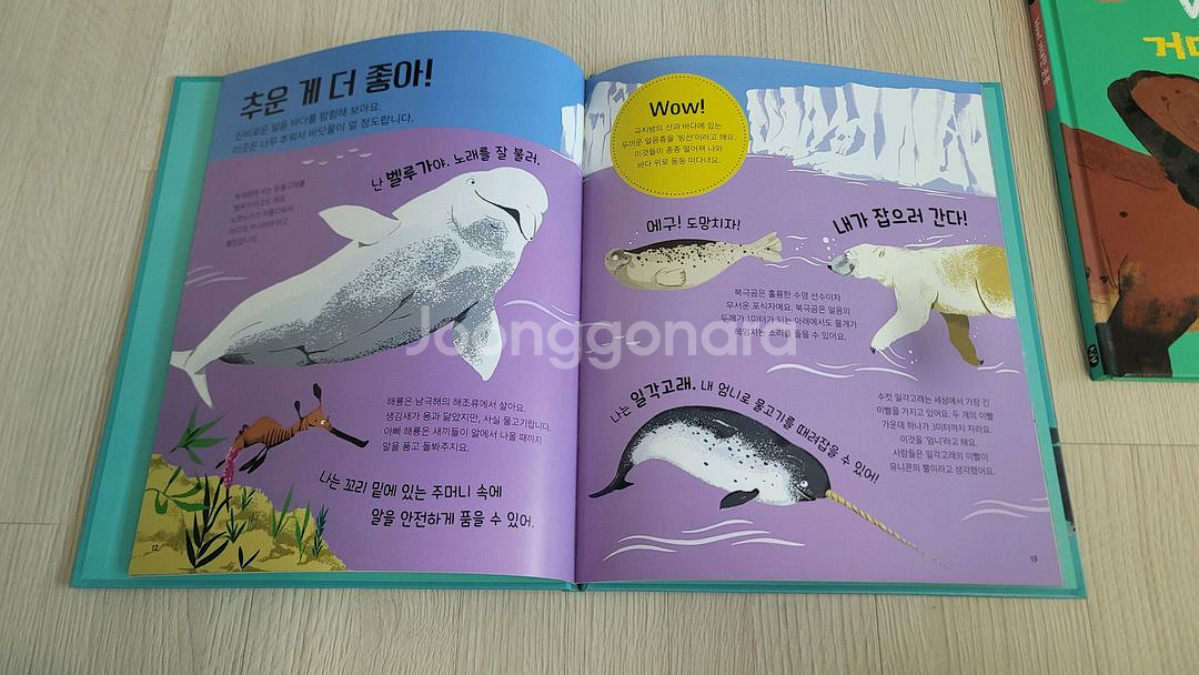 (새상품) 킹피셔 과학 그림책 Wow! 시리즈 7권 세트--2