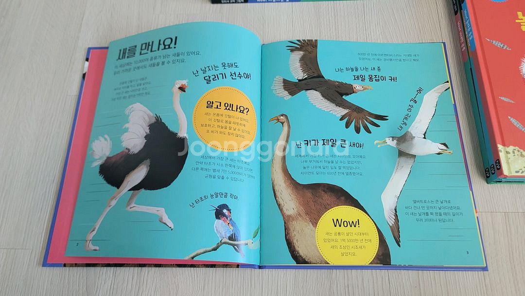 (새상품) 킹피셔 과학 그림책 Wow! 시리즈 7권 세트--4