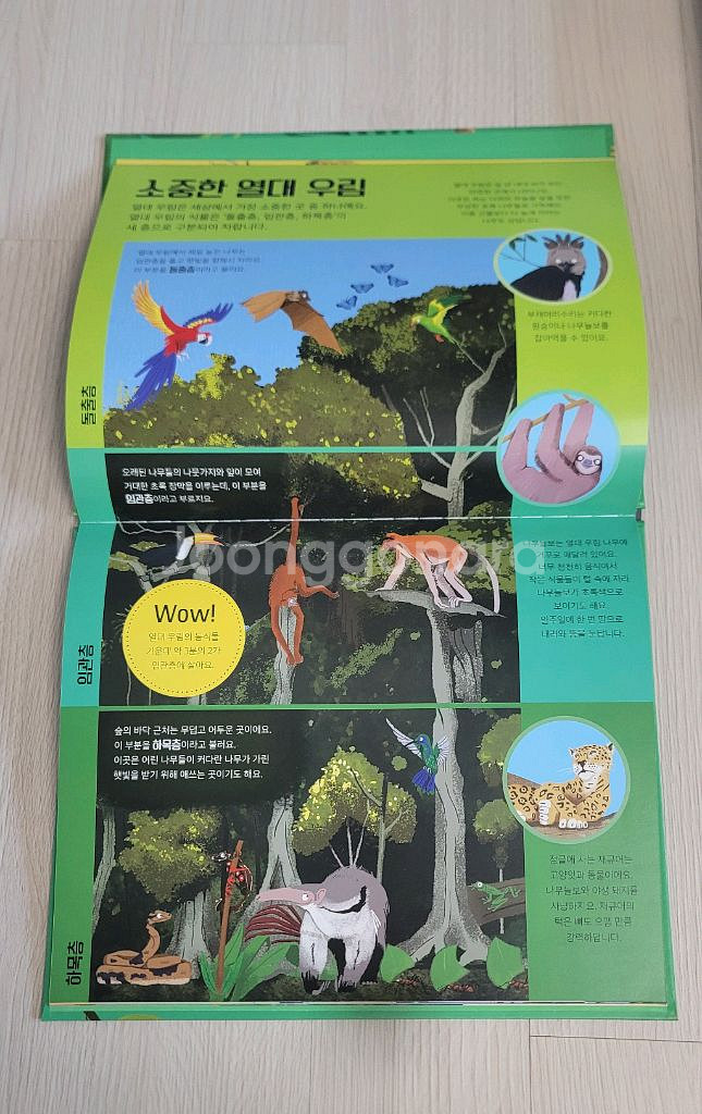 (새상품) 킹피셔 과학 그림책 Wow! 시리즈 7권 세트--7