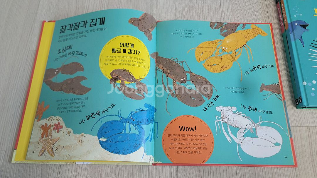 (새상품) 킹피셔 과학 그림책 Wow! 시리즈 7권 세트--3