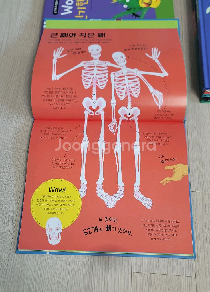 (새상품) 킹피셔 과학 그림책 Wow! 시리즈 7권 세트--6