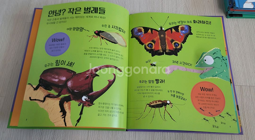 (새상품) 킹피셔 과학 그림책 Wow! 시리즈 7권 세트--5