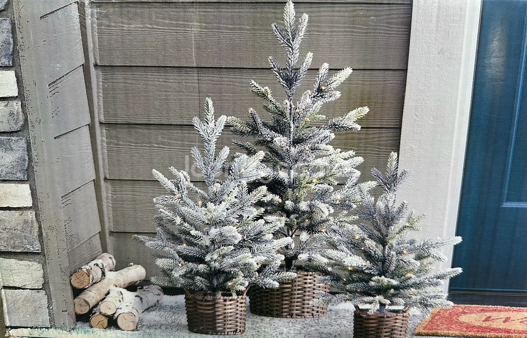 트리3종 세트--0