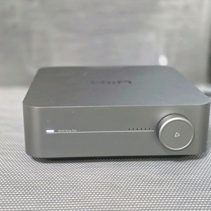 Wiim AMP PRO DAC 앰프