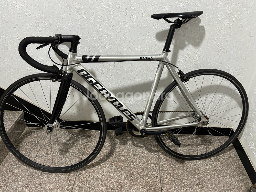 급처 에이지엔트라 픽시 자전거--1