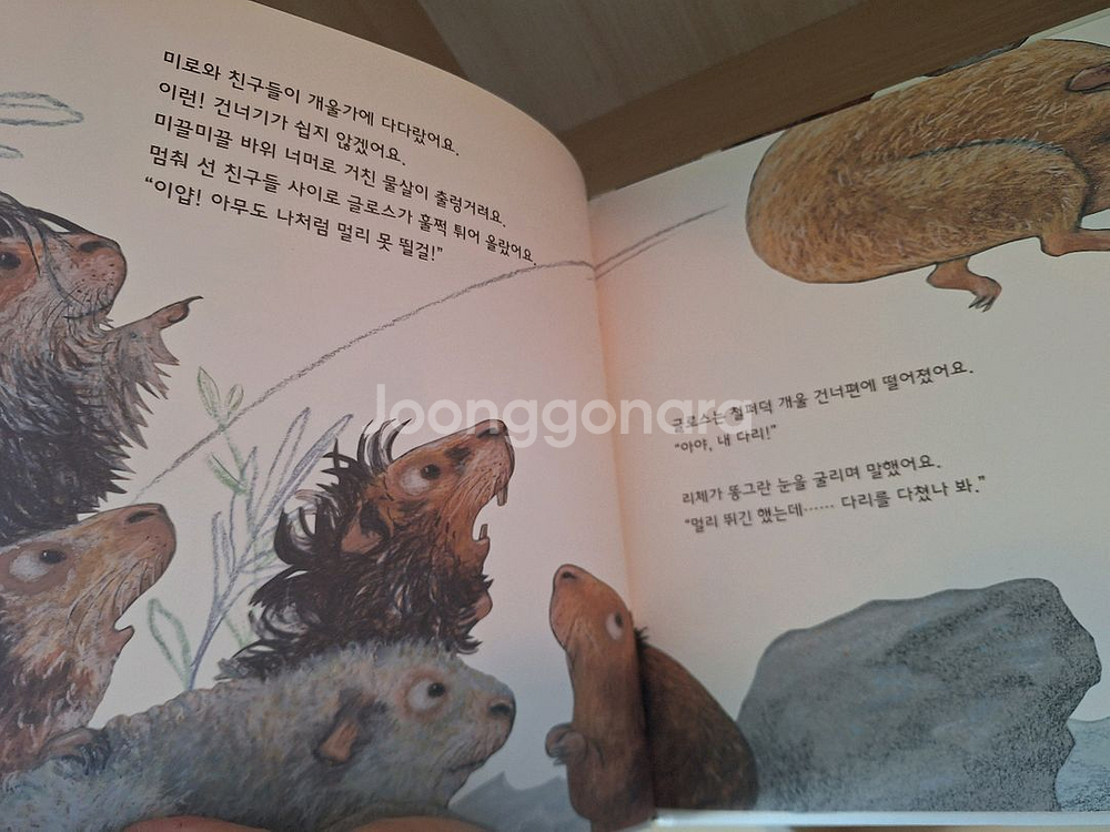 버니의세계책방 45권+사운드북--3