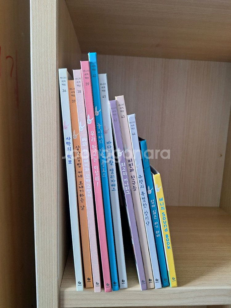 버니의세계책방 45권+사운드북--1