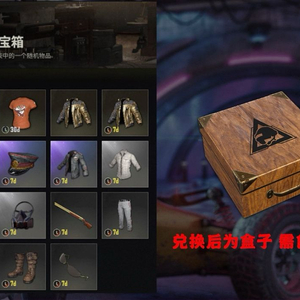 배그 골드지스카 스킨코드상자