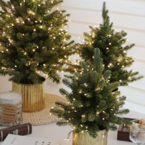 베스킨라빈스 파인트 아이스크림 기프티콘 상품권 교환권