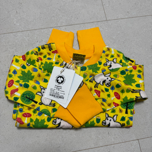 던스 가을 노란돼지 집업 86