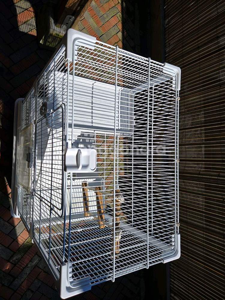 다람쥐, 햄스터, 앵무새 케이지--1