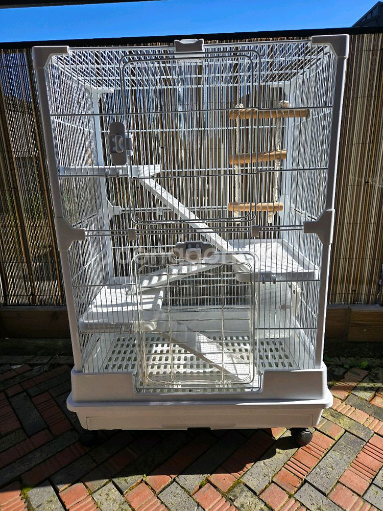 다람쥐, 햄스터, 앵무새 케이지--0