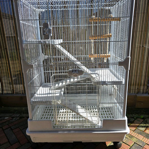 다람쥐, 햄스터, 앵무새 케이지