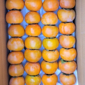 광양 단감 -박스포함 11.5kg이상