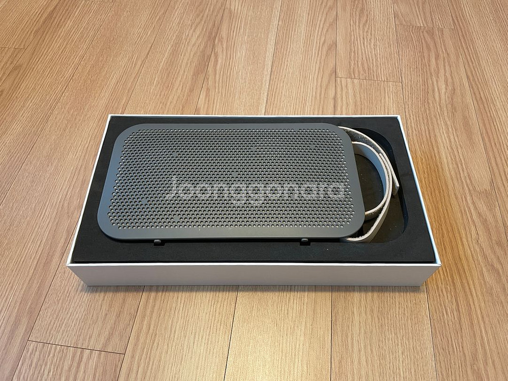 뱅앤올룹슨 베오플레이 A2 Active--3