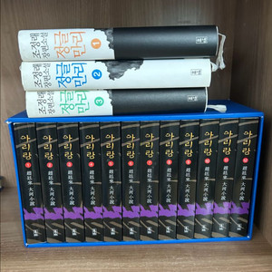 조정래 아리랑 핸드북, 정글만리