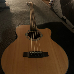 콜트 어쿠스틱 베이스기타