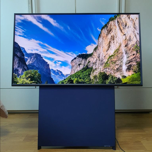 LG 43인치 OLED TV + 전용 거치대 세트