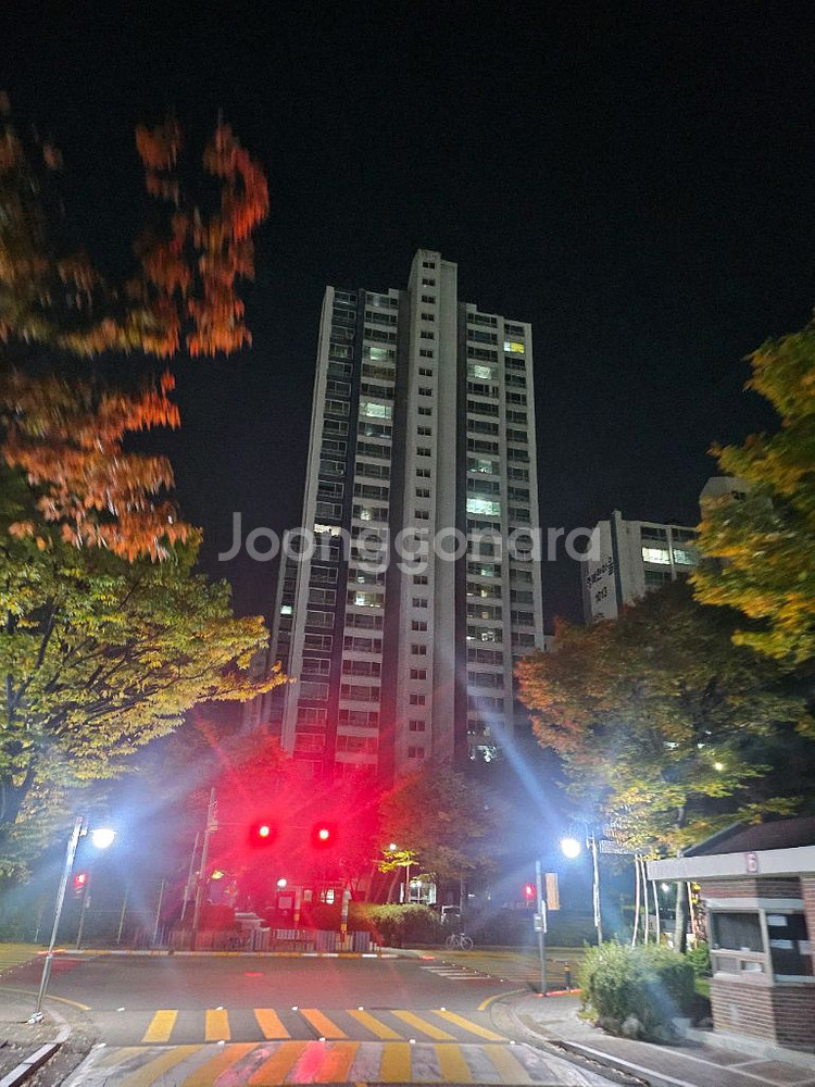 에버랜드 자유이용권 내일 11월 2일(일) 학샹 한장--0