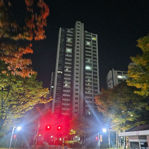 에버랜드 자유이용권 내일 11월 2일(일) 학샹 한장