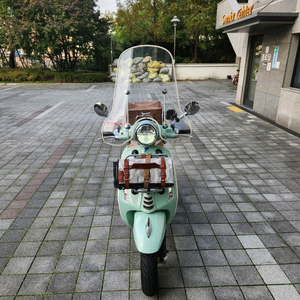 2022년식 베스파 프리마베라 피크닉에디션