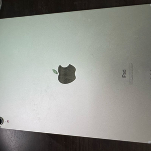 아이패드 프로 11인치 256GB 셀룰러