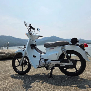 혼다 슈퍼커브 110 오토바이