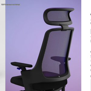 시디즈 GX 게이밍 의자