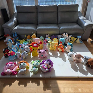 포켓몬 캐치티니핑 강아지 인형 모음