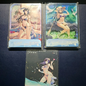 스노우브레이크 캐시아 체르노 아크릴 + 포토카드