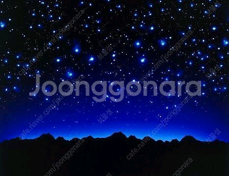 던킨 미니도넛 세트--0