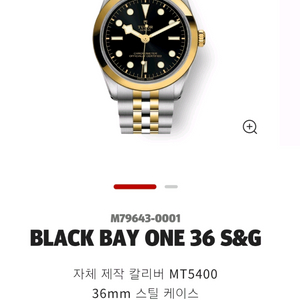 튜더 블랙베이 36 S&G 25년 신형