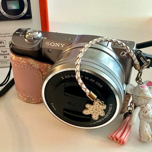 소니 A5100 미러리스 카메라