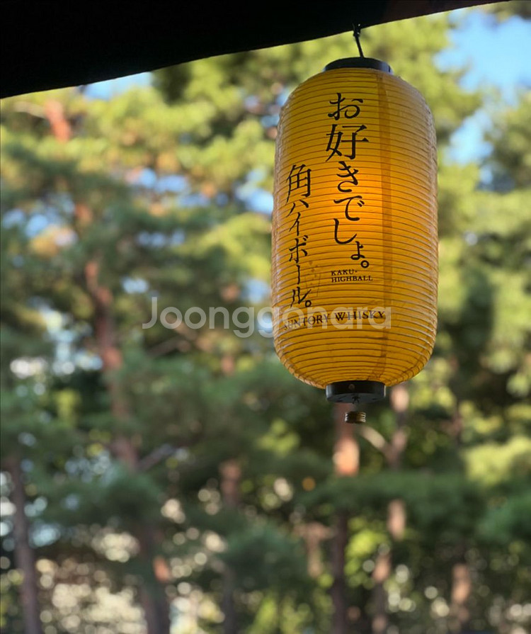 5080 터프 호프 뱅가드 어마--0