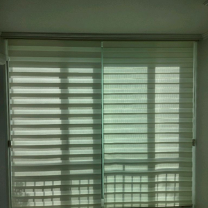 블라인더 2개 [117/113]