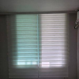 블라인드 2개 [100 2개]