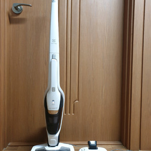 일렉트로룩스 에르고라피도 베드프로 무선청소기