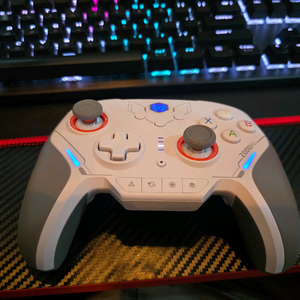 블리츠2TMR 컨트롤러판매합니다