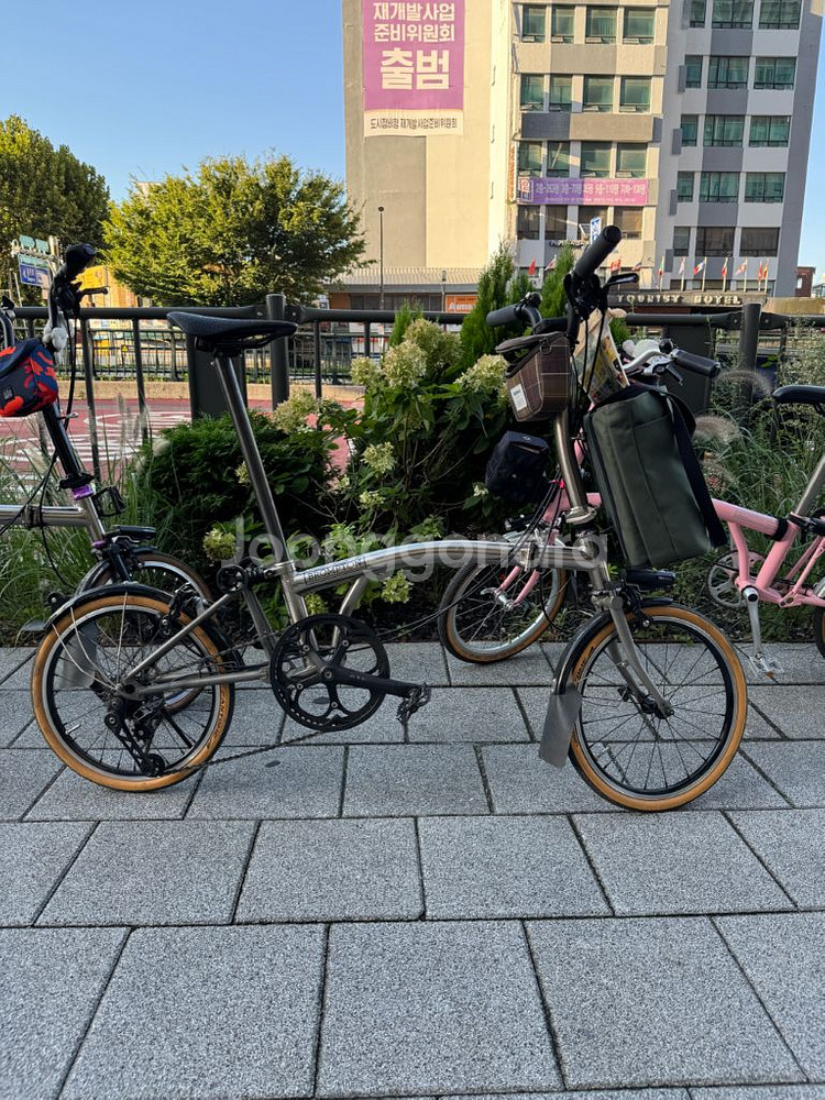 브롬톤 니켈(18년)--0